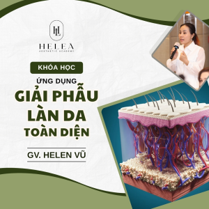 Cấu Trúc Giải Phẫu Da - Nền Tảng Khoa Học Cho Mọi Liệu Trình Chăm Sóc Da 
