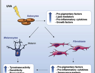Pigmentary Loop – Vòng Xoắn Sắc Tố Và Chiến Lược Khoa Học Để 