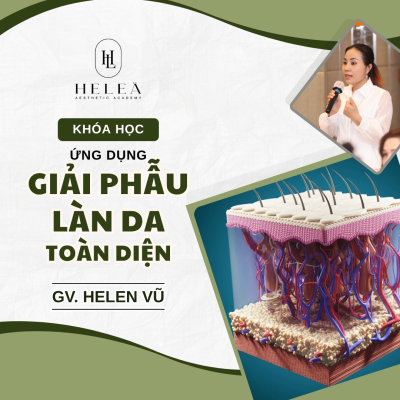 Cấu Trúc Giải Phẫu Da - Nền Tảng Khoa Học Cho Mọi Liệu Trình Chăm Sóc Da 